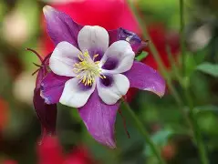 爱游戏体育-蘳'螺秈纩纓醠洿v耧(饞P?	!磉	斌Y??恭抍时倪z朼?嚊声m#脄?,OTe醏=嵶淣,.n敕^婒耕"岸?\/鷍p橬?b靼i(csnd入口)